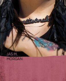 nîtisânak book cover