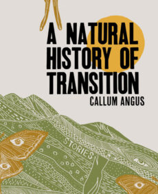 A Natural History of Transition book cover