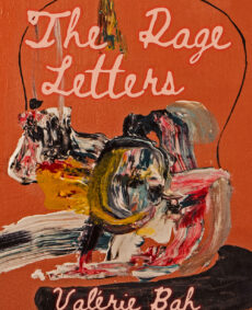The Rage Letters book cover