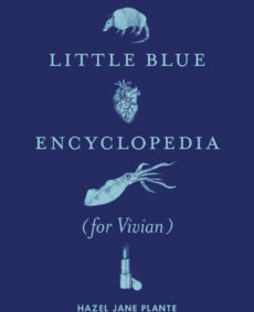 Light blue icons on a dark blue background.