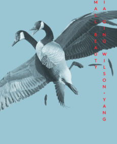 Two-headed goose on a blue background. Small Beauty book cover