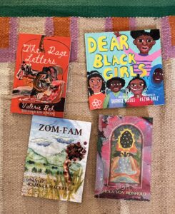 Black Writers Book Bundle