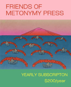 Friends of Metonymy Press: Yearly Subscription