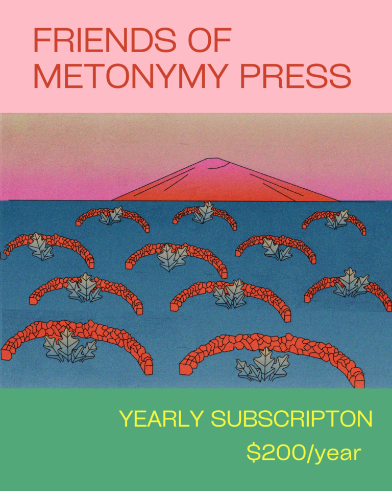 Friends of Metonymy Press: Yearly Subscription
